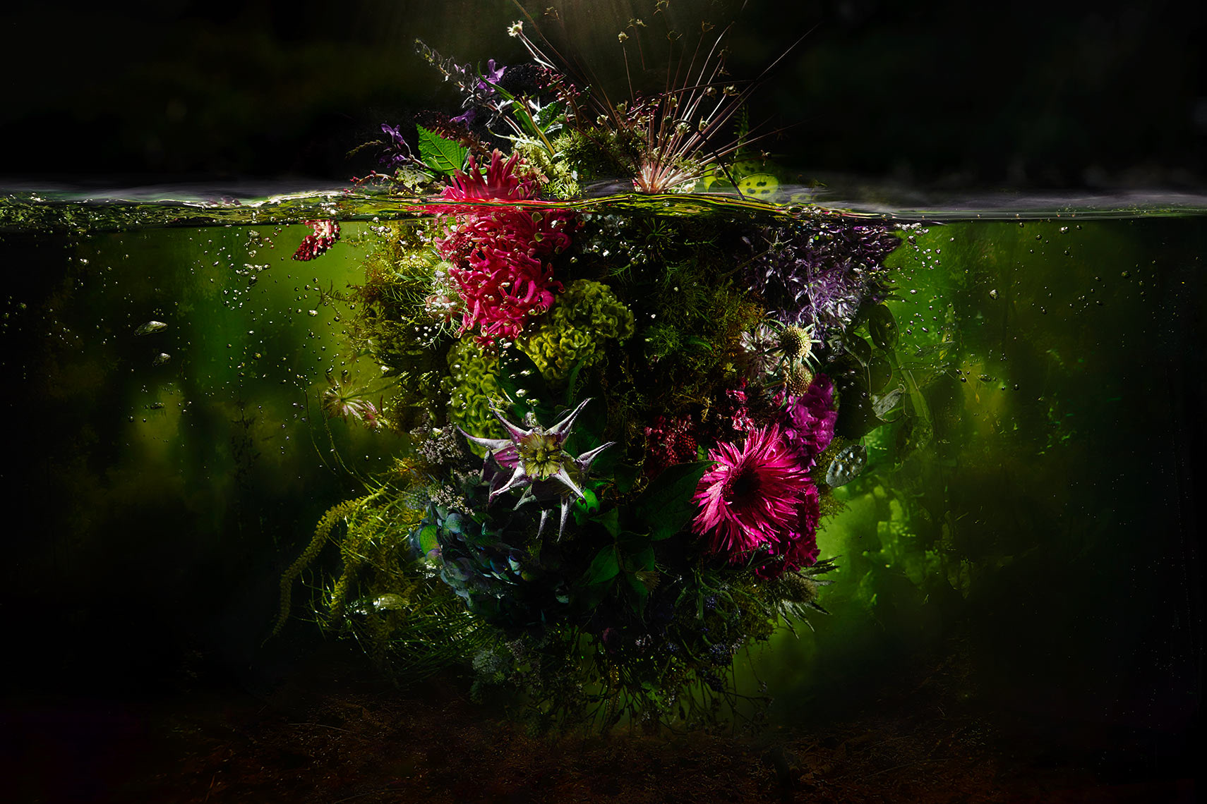 Hidden Flowers Underwater - Exhibition - Marc Wuchner BFF Professional Stills -  Produktfotografie Frankfurt